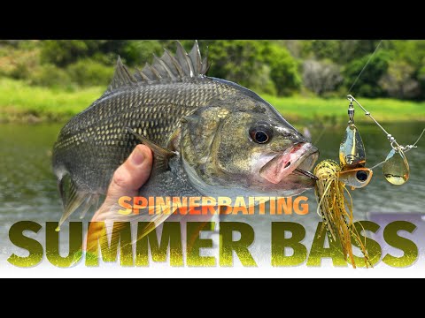 How to Catch Bass on Spinnerbaits - Schooled Fish and Flooded Grass - TT  Vortex+ Spinnerbaits - YouTube