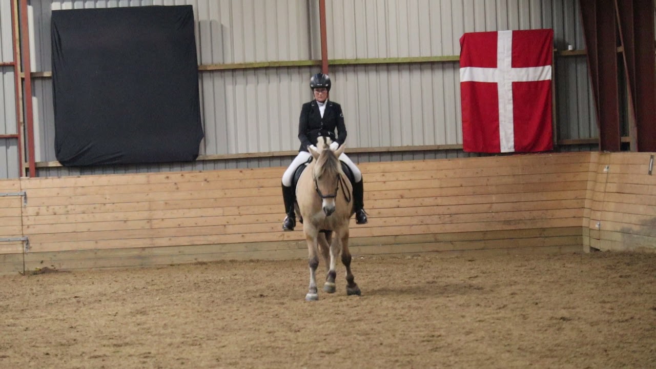 Lyngholms Pippa, LB3, D-stævne HJRK, 9-10-21