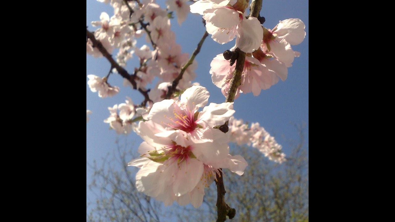 Wo es für Digitalagenturen aufwärts geht