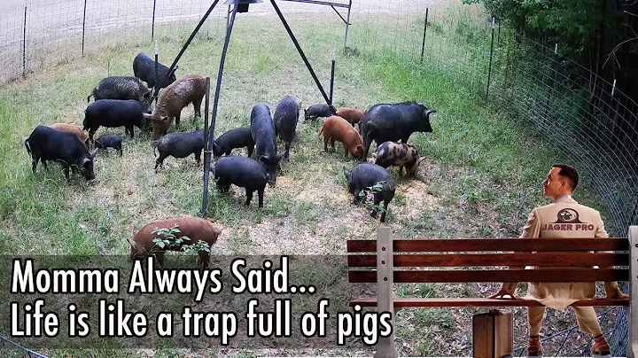 WILD HOG CONTROL | JAGER PRO™ TV Show | Whole Sounder Removal