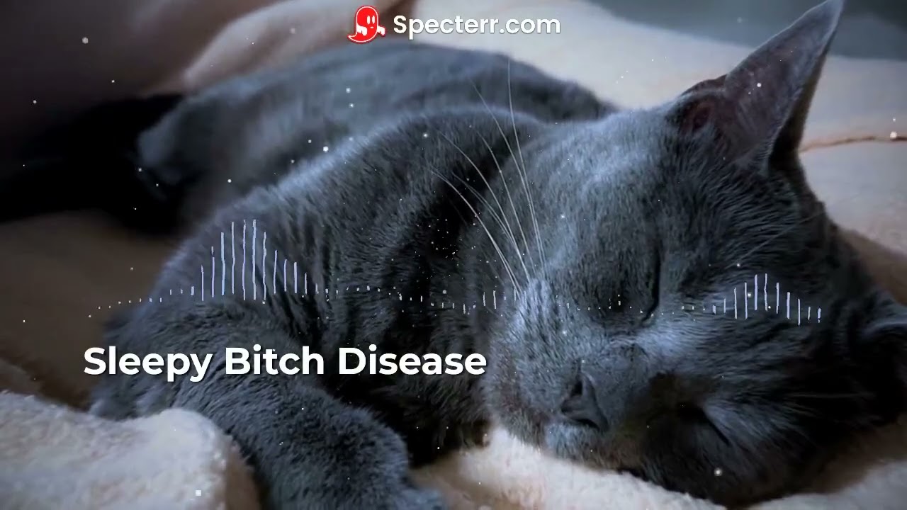 Sleepy Bitch Disease