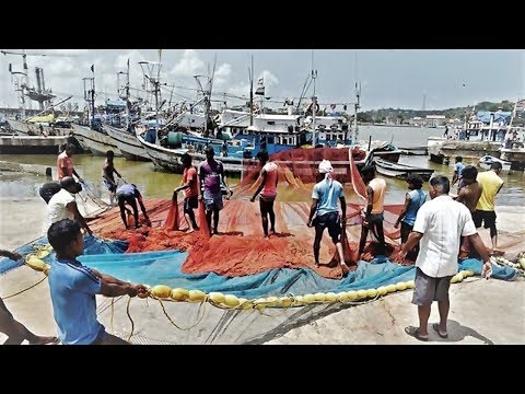 Port Development in Goa Threatens to Wipe out Fishing Communities