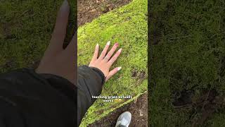 Tried Forest Bathing and heres how it went! (No, Its not showering in the forest 🛀🏻😌)