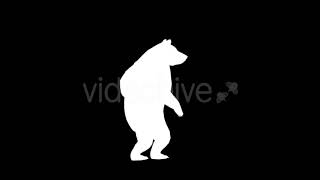 Bear Silhouettes - 9 Pack | Motion Graphics - Envato elements