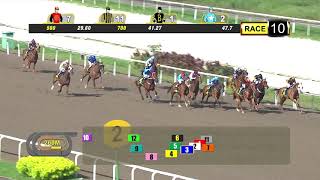 Vidéo de la course PMU BETTER THAN EVER 2012 STAKES