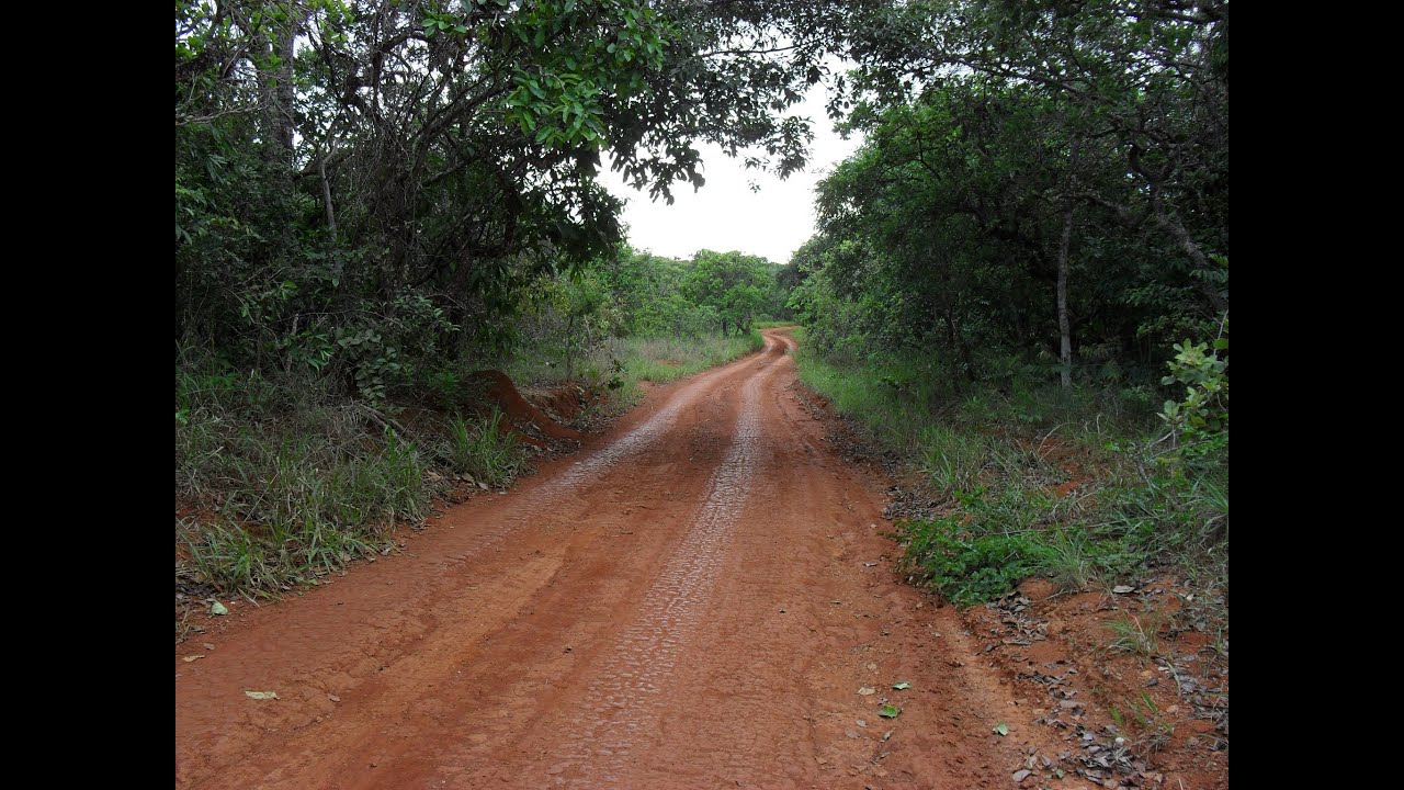 Cansado da vida na cidade? Conheça o canal Tocandira!