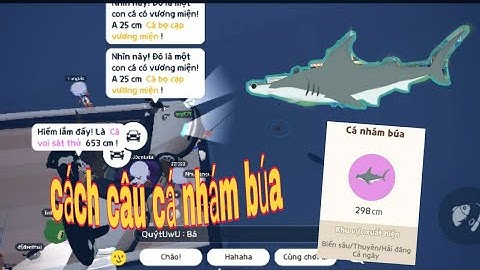 play Together | một ngày đi bắt cá Nhám Búa, địa điểm thời gian...