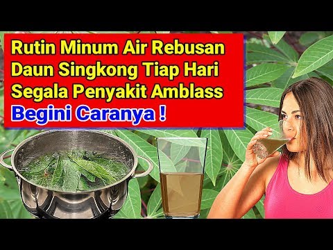 Manfaat Air Rebusan Daun Ubi Kayu