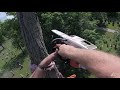 Roping a Top and Using a Tag Line  |  Arborist Rigging and Cutting Basics