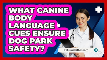 What Canine Body Language Cues Ensure Dog Park Safety? - PetGuide360.com