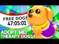 Adopt Me NEW PETS Update Release Date! Adopt Me Therapy Dogs