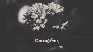 Whatsapp Ucun Status Video Kişiler Bir Olmur Atam Balası New