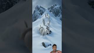 Mountain Goat: Storm Escape