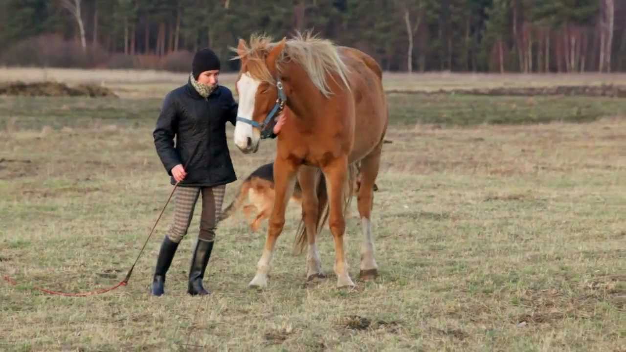 Nardia - zabawy z ziemi bez liny