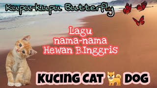 LAGU KUCING CAT Anjing DOG Kupu-kupu Butterfly | Lagu Nama-nama Hewan