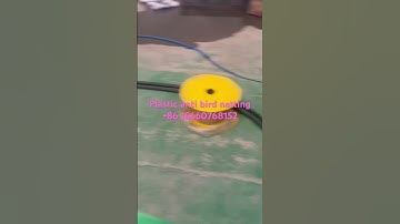 Plastic Anti bird netting Lawn net production line