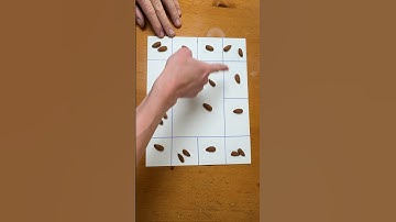 Einstein Rock Paradox, What is the explanation for this? Comment if you know. 😉 #fyp ￼