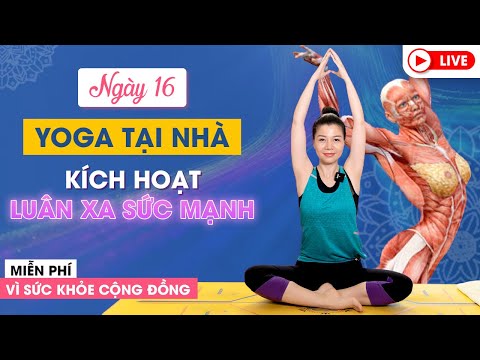 Yoga Trực Tuyến Tại Nhà_ Bài 16  Mềm dẻo toàn thân - hết mỏi cổ đau lưng  Nguyễn Hiếu Yoga