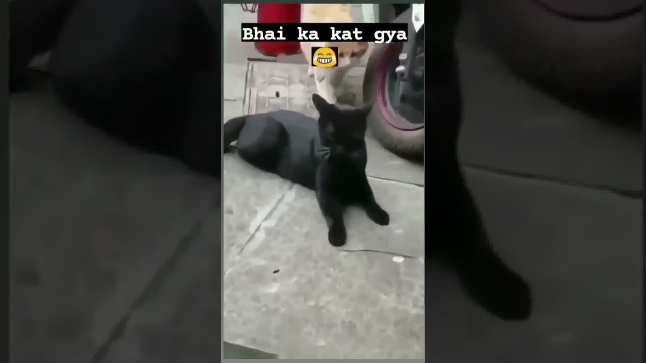Bhai ka kat gaya || Frustrated boy