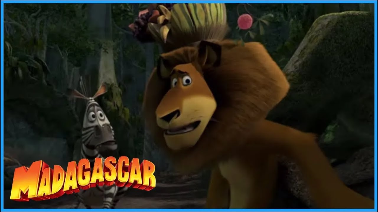 ⁣DreamWorks Madagascar | Lions Don't Dance | Madagascar: Escape 2 Africa Movie Clip