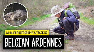 Adventures in the Belgian Ardennes - Wildlife photography and tracking