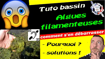 Comment retirer les algues dans un bassin ?