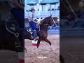 43º Exposição Nacional do Cavalo Mangalarga Marchador