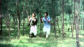 Bava Mardallu Movie Songs Jukebox | Sobhan babu |