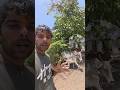 कभी ग़रीब नहीं रहोगे बस ये 🫡 #radhevlog #travelblog #travelvideo #travel