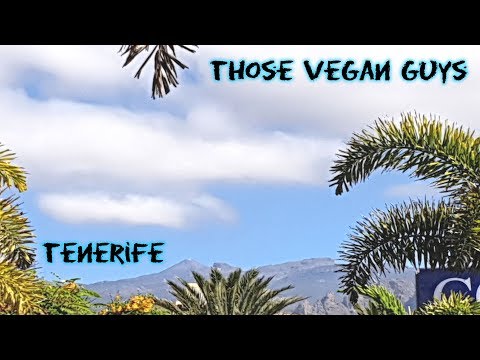 A Guide to Tenerife | Where & What To Eat | VEGAN