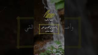 اللهم اصلح لي ديني الذي هو عصمة أمري | دعاء
