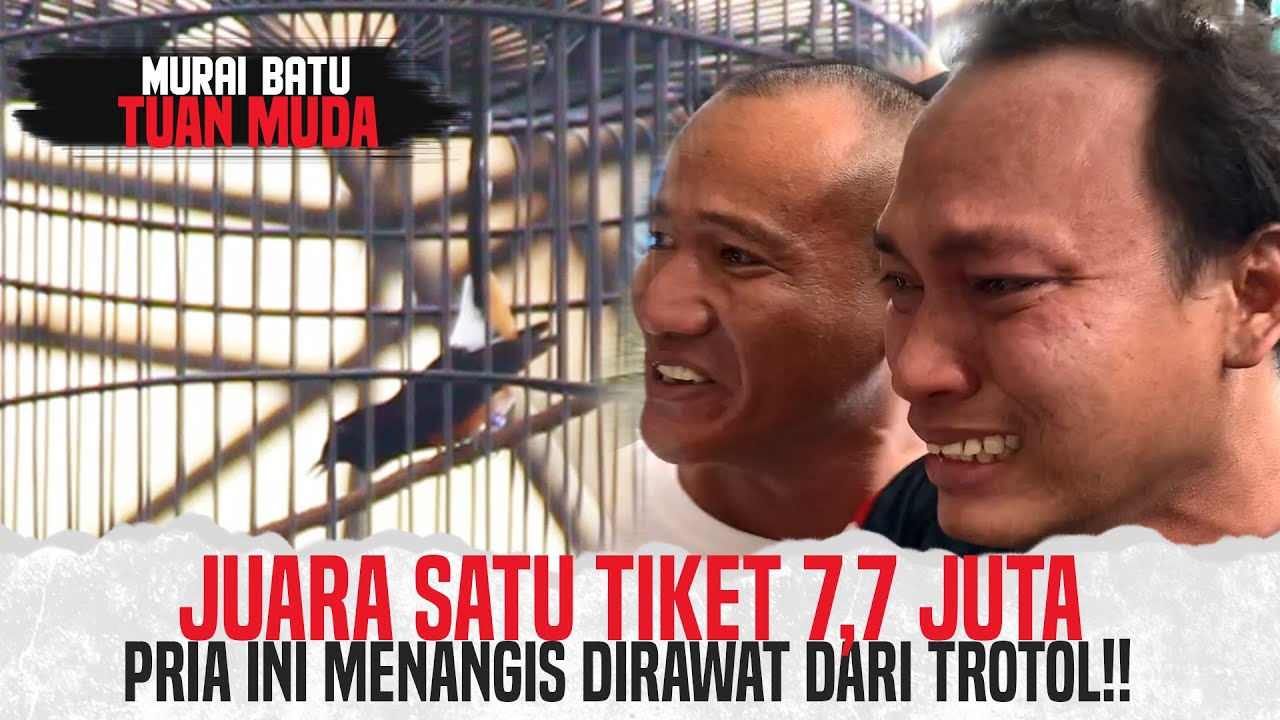 Gak Nyangka Menang !! || MURAI BATU INI JUARA SATU TIKET 7,7 JUTA ||  PRIA INI MANANGIS TERHARU