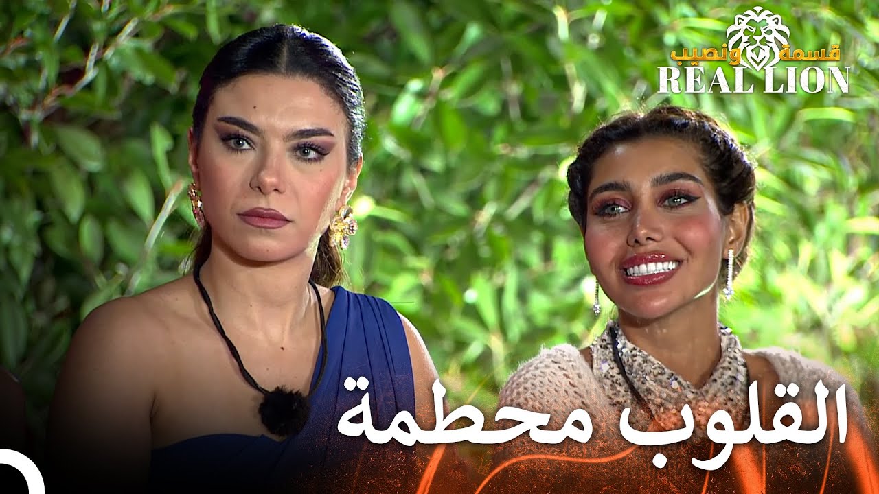 حكاية الحب التي انتهت قبل أن تبدأ | قسمة ونصيب: Real Lion - الحلقة 20