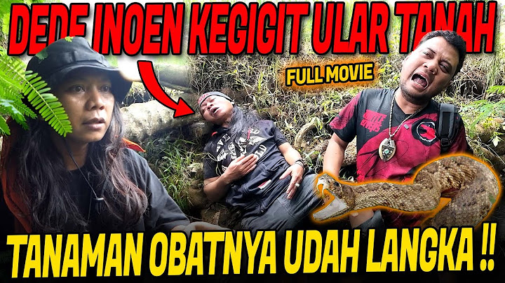 DIGIGIT ULAR VIPER GANAS‼️DEDE INOEN TERKAPAR DAN PASRAH