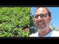 I frutti del campo si ingrossano | Doppi e Diretti 2×11