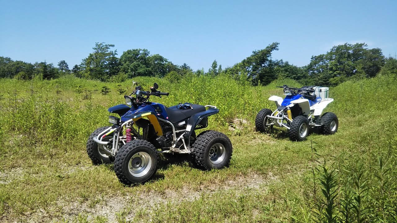 タイヤ四輪バギーサンドタイヤyf200 yf350 20x11-8