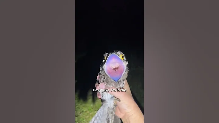 Just checking in on y’all #shorts #feed #howareyou