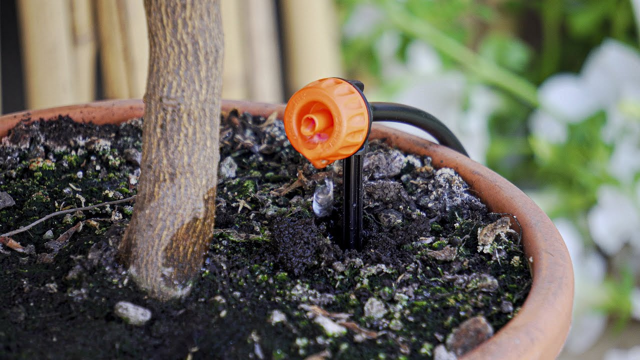 Impianto di irrigazione domestico, come farlo? - FAQ Monverde