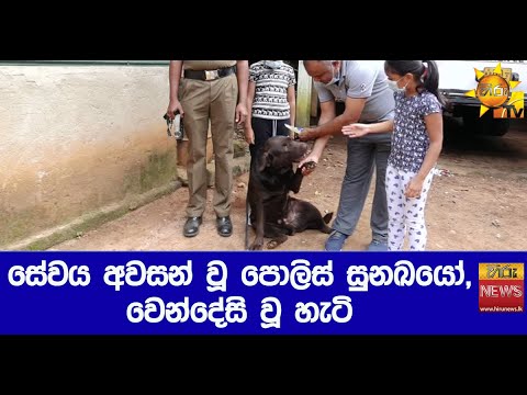 Video: Polis Sri Lanka Di Doghouse Atas 'Perkahwinan' Anjing