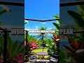 Adventures of Remote Work in Costa Rica