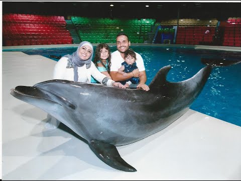 Dolphin Show at Dubai Dolphinarium  قضو معنا عيد الاضحى 2020 كيف قدينا النهار/ عرض الدلافين