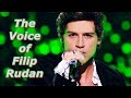 The Voice of Filip Rudan