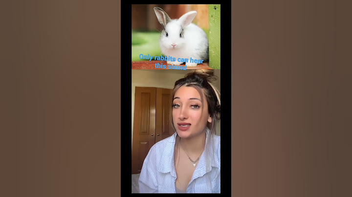 OMG only rabbits hear this sound! 🐇 You need to try this! 😱