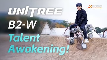 Unitree B2-W AI Robotic Dog in Action #xboom #unitree #roboticdog