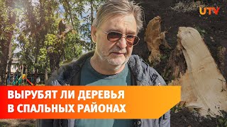 Вырубают ли опасные деревья в спальных районах Уфы? Прошлись по дворам столицы