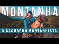 Trekking com o cachorro montanhista  - Será que ele consegue?