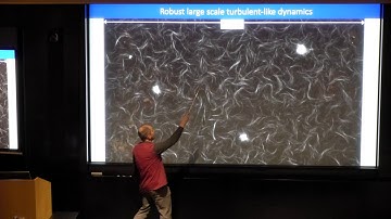 Universality – Turbulence Across Vast Scales: Day 3, Session 4 (December 4, 2019)