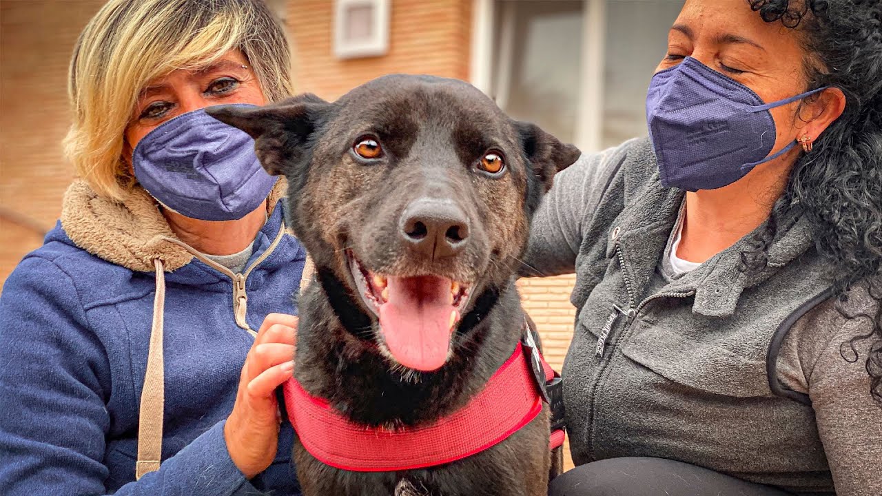 Goodbye Fred, we loved you from the day you were born.