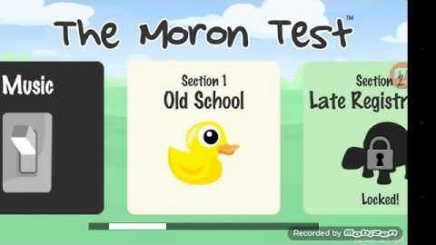 The Fresh Lemon plays the idiot quiz 😜