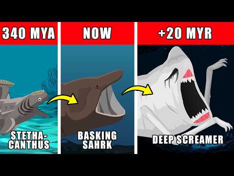 Deep Screamer Origin Evolution: How Deep Screamer Could Have Evolved